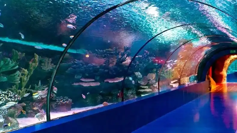 Antalya Akvaryum Aquarium